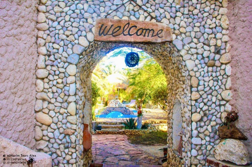 Dream Lodge Siwa Siwa Oasis ภายนอก รูปภาพ