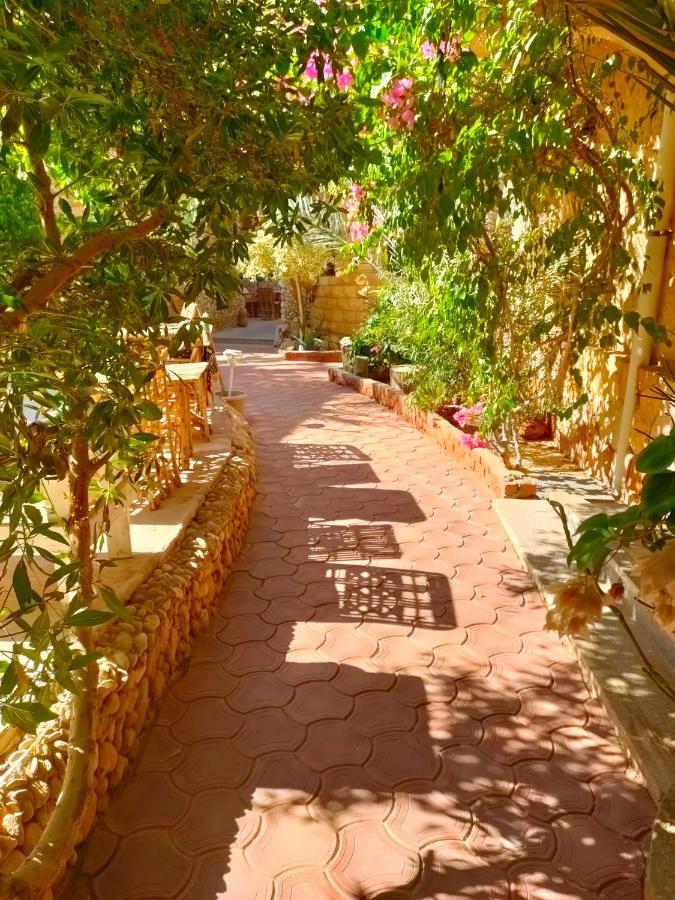 Dream Lodge Siwa Siwa Oasis ภายนอก รูปภาพ
