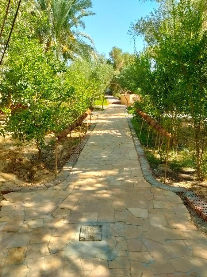 Dream Lodge Siwa Siwa Oasis ภายนอก รูปภาพ